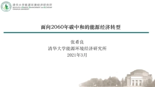 专题研究：面向2060年碳中和的能源经济转型