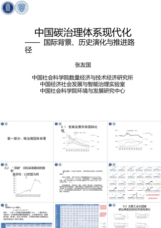 中国碳治理体系现代化——国际背景、历史演化与推进路径--社科院 张友国