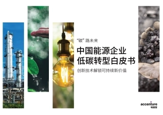 中国能源企业低碳转型白皮书：4大行业22项低碳转型举措
