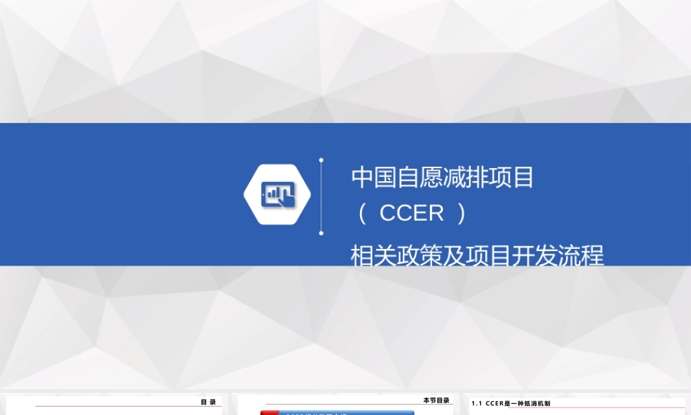 中国自愿减排项目(CCER)相关政策及项目开发流程