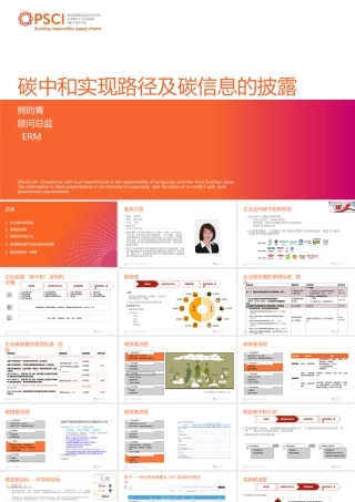 企业碳中和教程：碳中和实现路径及碳信息的披露