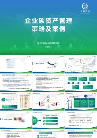 企业碳资产管理策略及案例