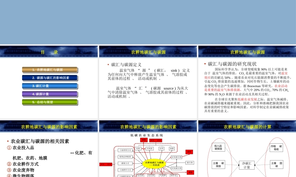 农耕地碳汇和碳源的影响因素研究