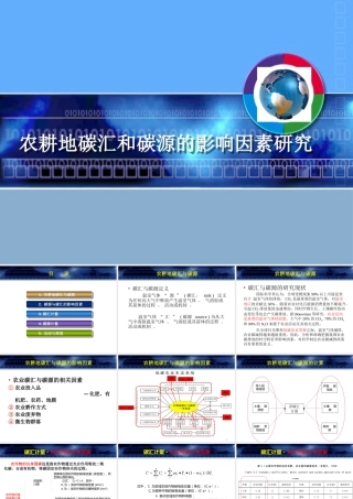 农耕地碳汇和碳源的影响因素研究
