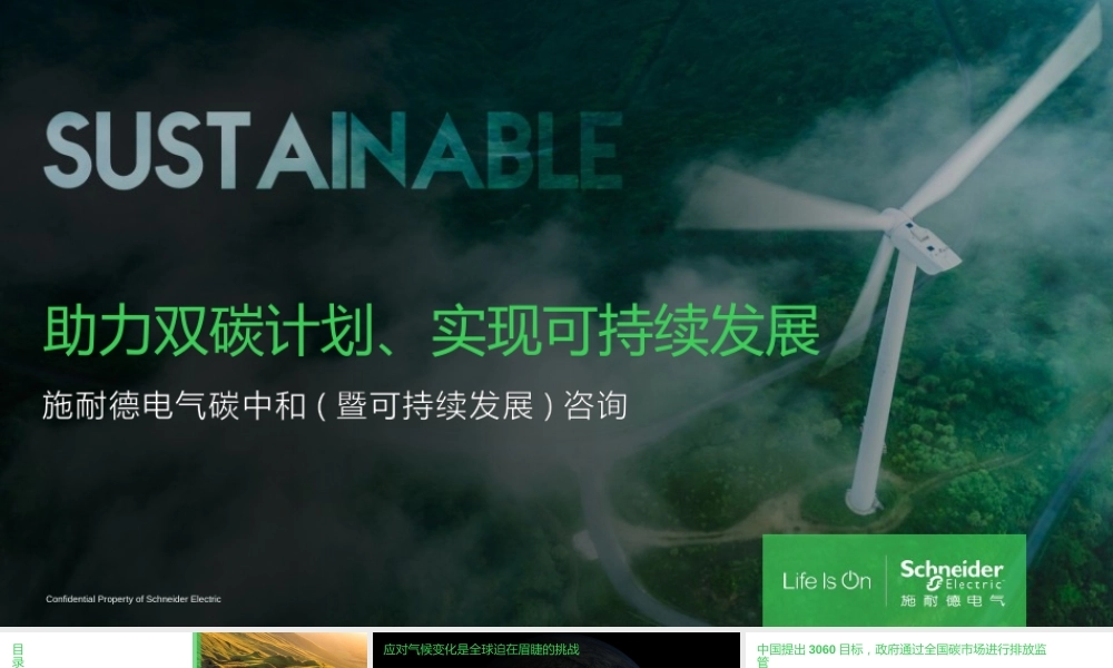 助力双碳计划、实现可持续发展--施耐德碳中和暨可持续发展咨询服务