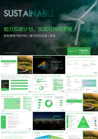 助力双碳计划、实现可持续发展--施耐德碳中和暨可持续发展咨询服务