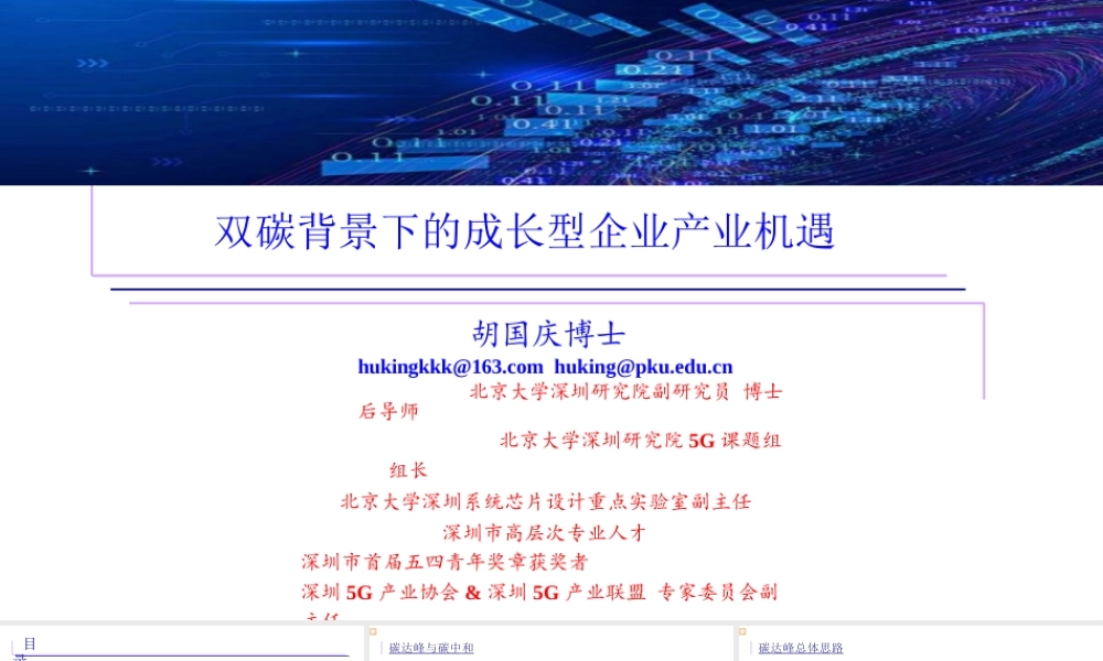 北大深圳研究院胡国庆：双碳背景下的成长型企业产业机遇