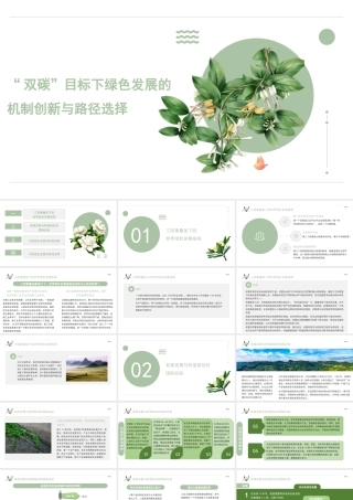 双碳”目标下绿色发展的机制创新与路径选择