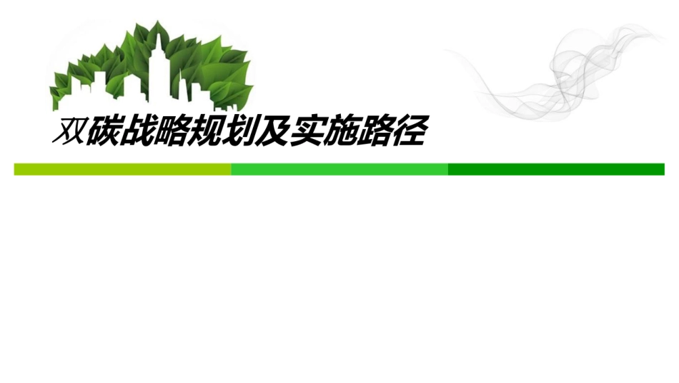 双碳战略规划深度解读-106页_第1页