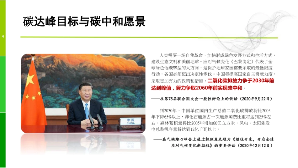 双碳战略规划深度解读-106页_第3页