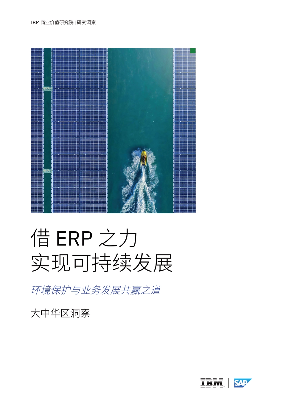 借ERP之力实现可持续发展： 环境保护与业务发展共赢之道—大中华区洞察_第1页