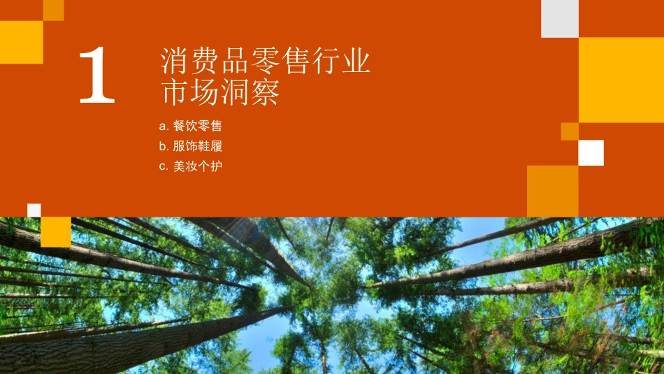 新零售未来改写： 可持续商机点燃新增长引擎-普华永道_第3页