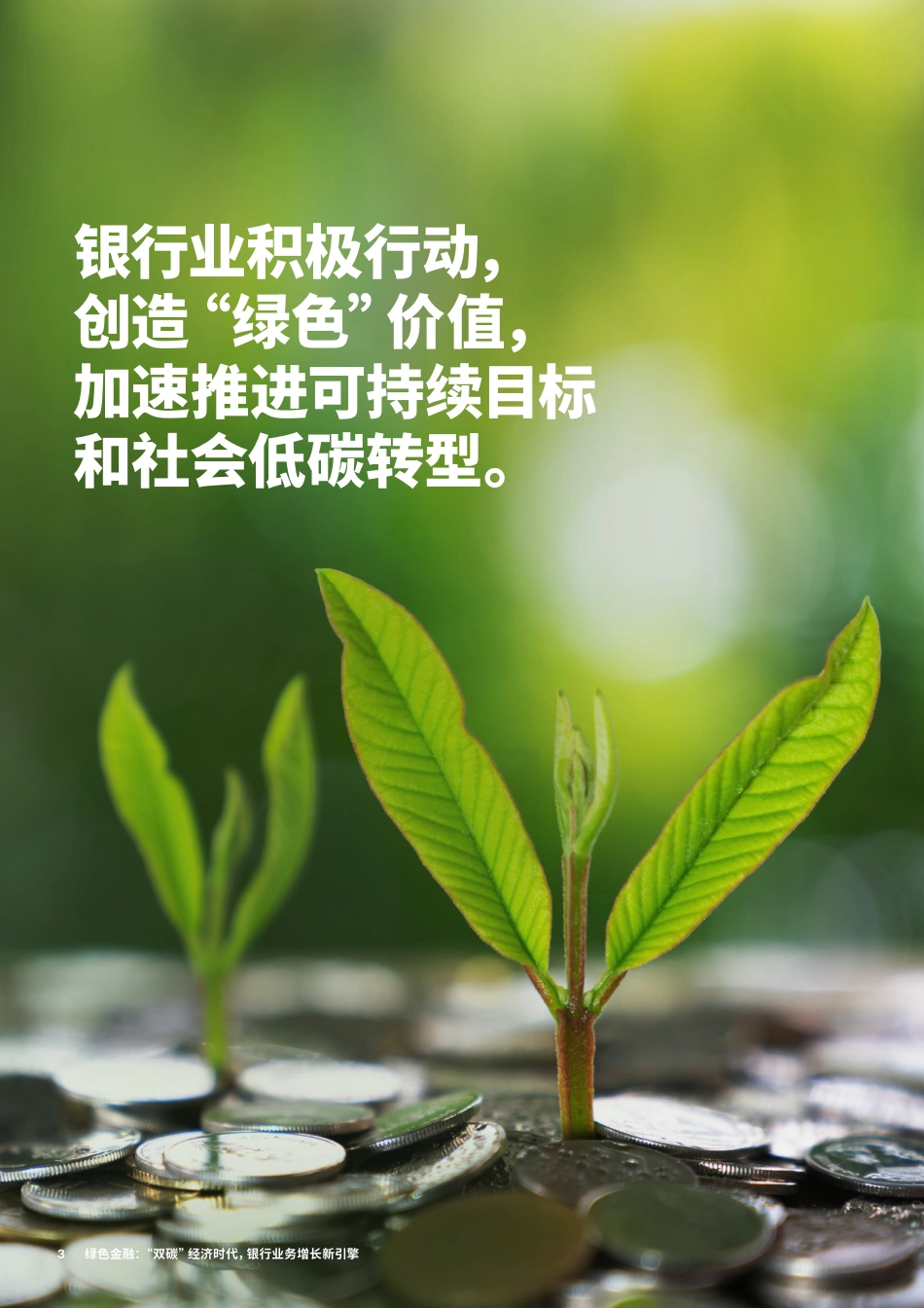 埃森哲+绿色金融：“双碳”经济时代，银行业务增长新引擎（中文）-20页_第3页