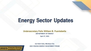 菲律宾能源市场报告（更新）（英文版）