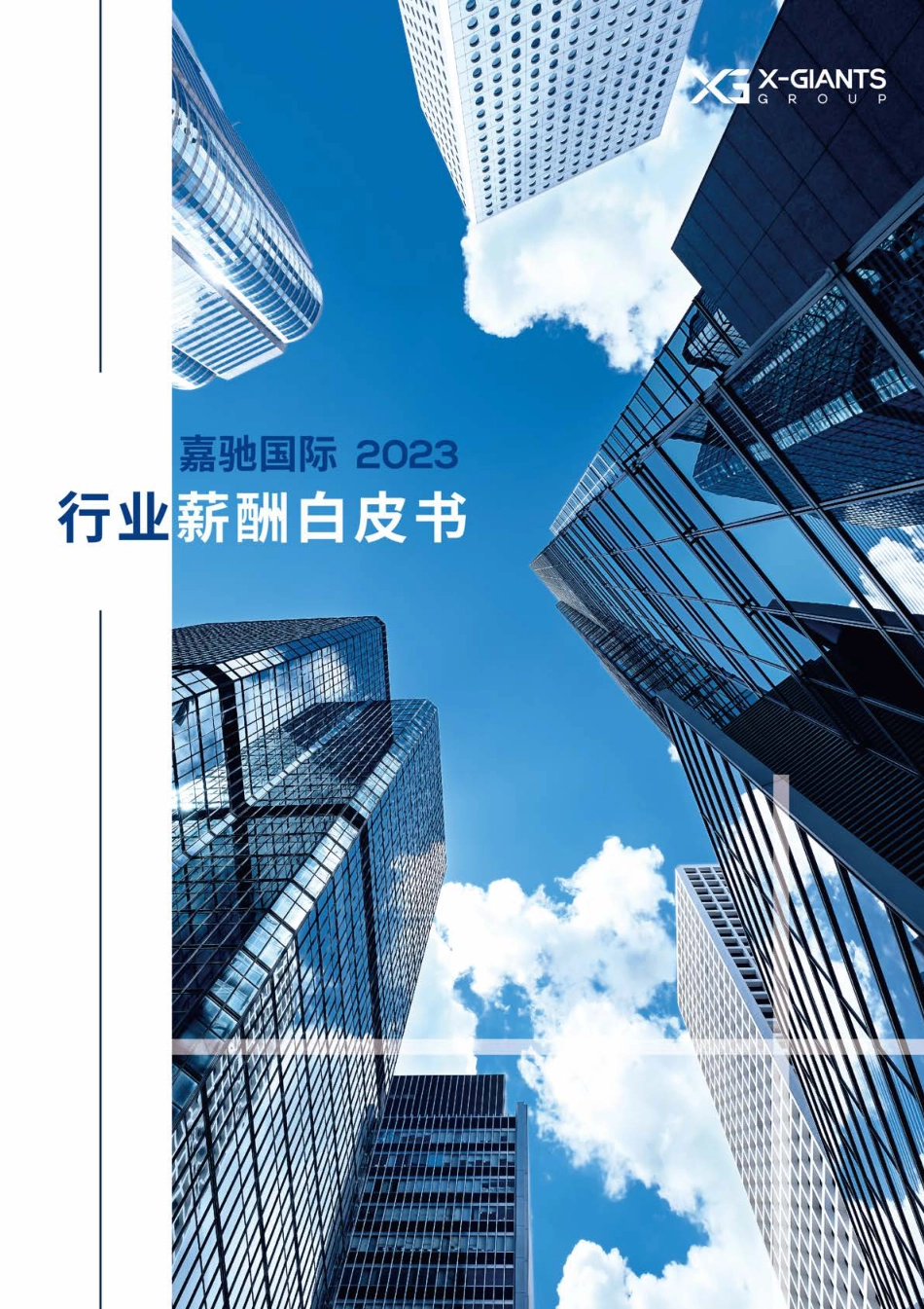 2023行业薪酬白皮书-驰嘉国际_第1页