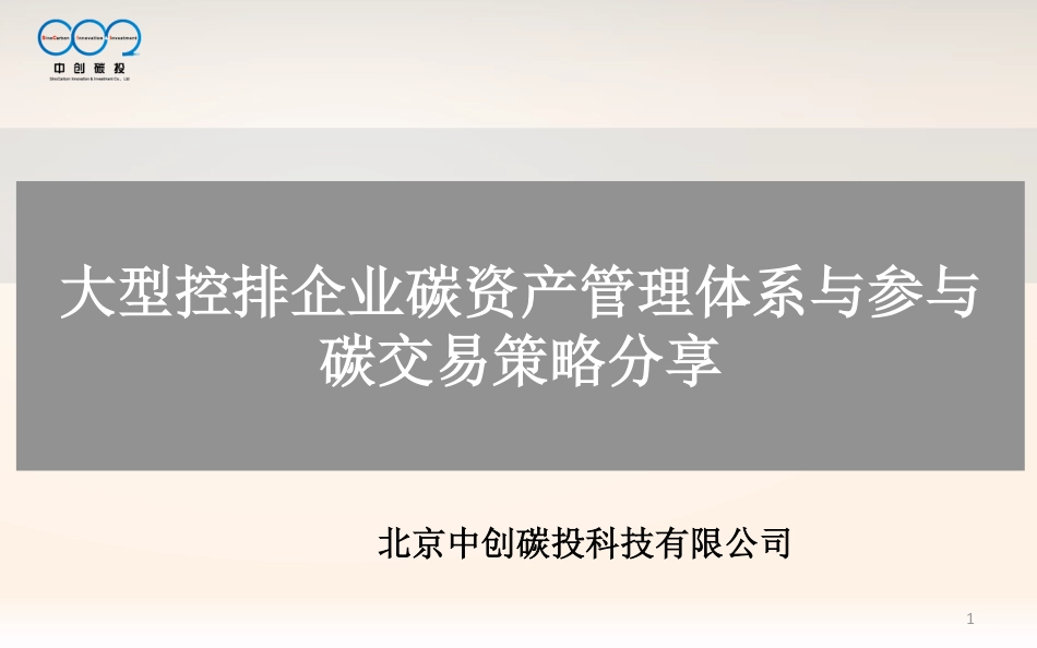 大型控排企业碳资产管理体系-45页_第1页