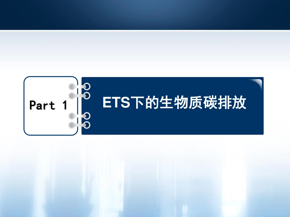 05 - 生物质碳减排和可持续性认证 - 张丽欣-202304-35页_第3页