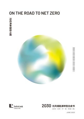 2023光风储能源转型白皮书-InfoLink Consulting