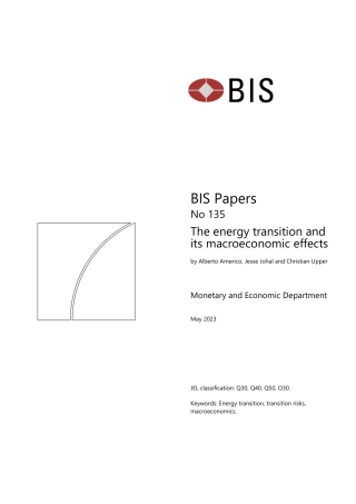 国际清算银行-能源转型及其宏观经济影响（英文版）