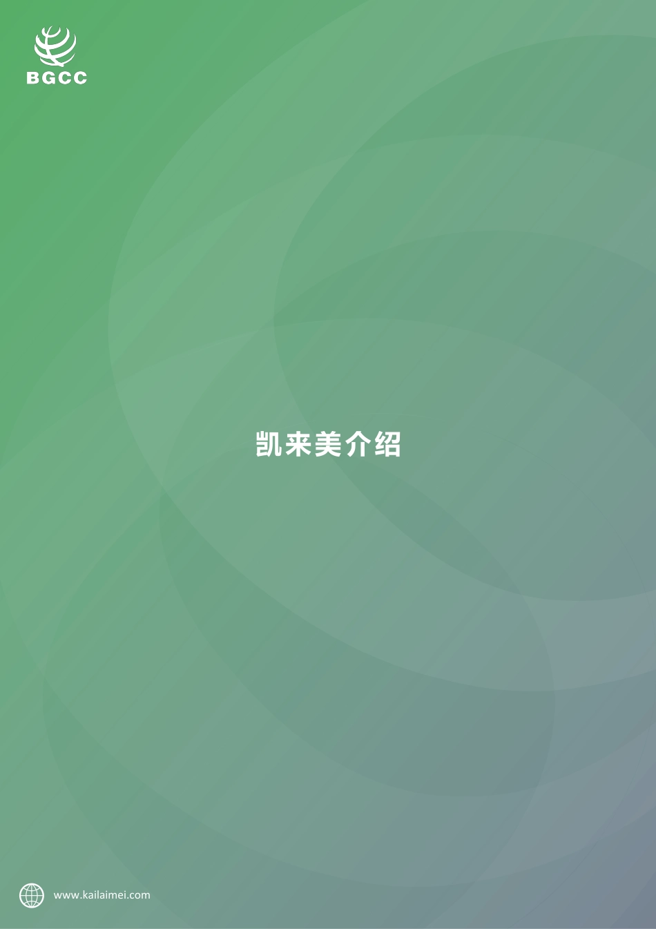 凯来美企业碳管理解决方案-BGCC_第3页
