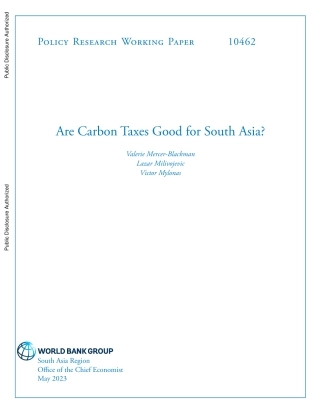 世界银行-碳税对南亚有利吗？（英）