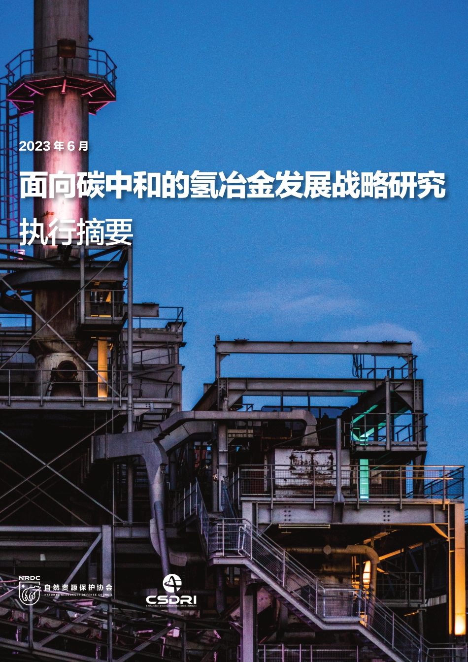 面向碳中和的氢冶金发展战略研究-自然资源保护协会_第1页