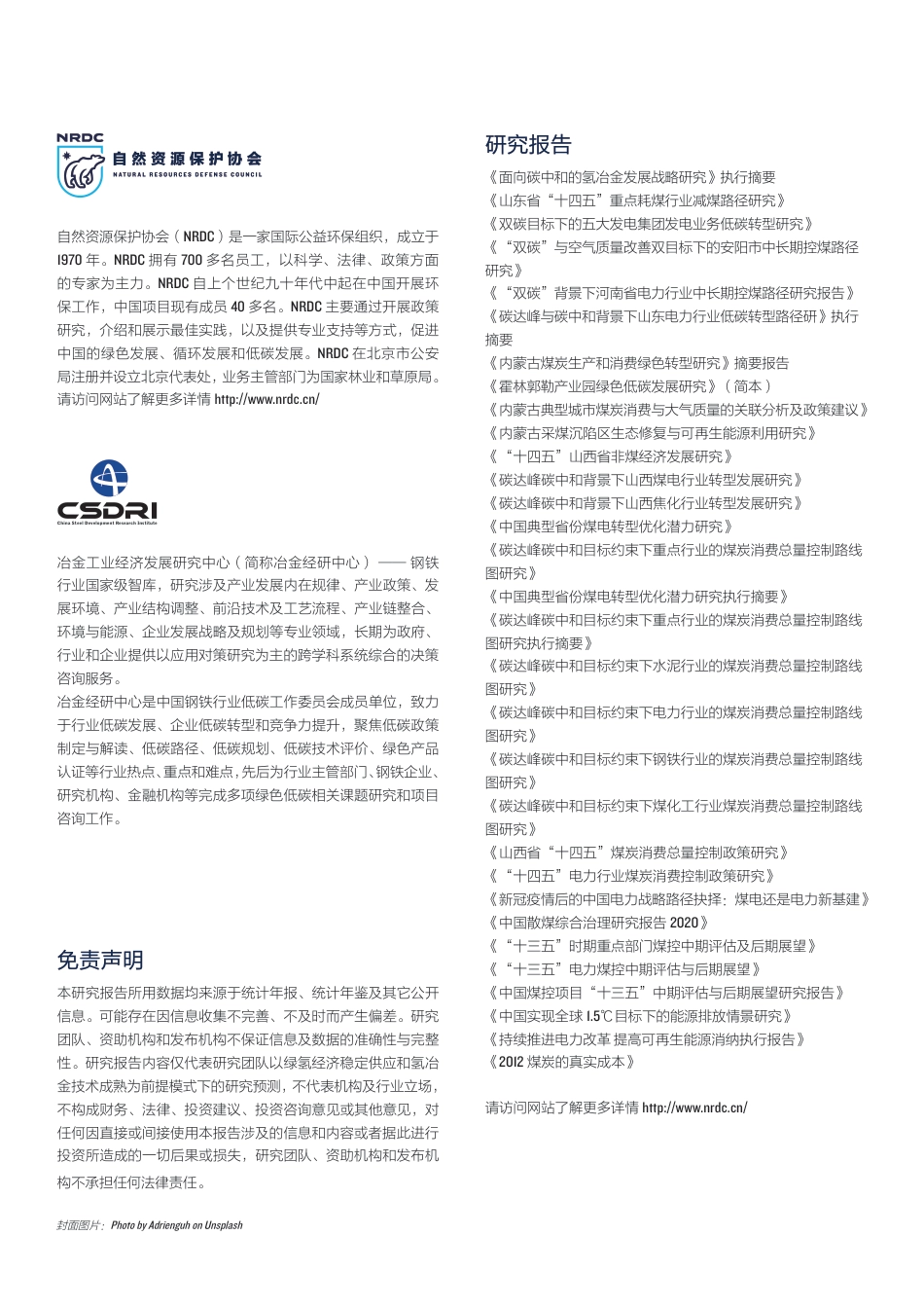 面向碳中和的氢冶金发展战略研究-自然资源保护协会_第2页