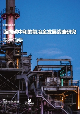 面向碳中和的氢冶金发展战略研究-自然资源保护协会