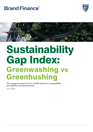 【重点推荐】品牌价值-可持续发展差距指数：洗绿与绿湖行（英）