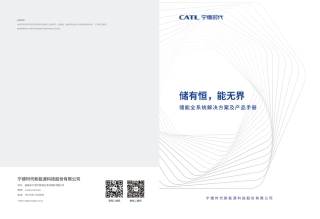 储有恒，能无界-宁德时代