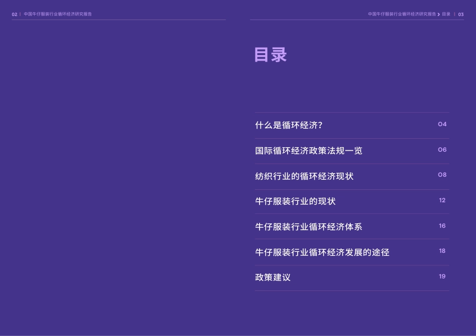 中国牛仔服装行业循环经济研究报告（精华版）--伦·麦克阿瑟基金会_第3页