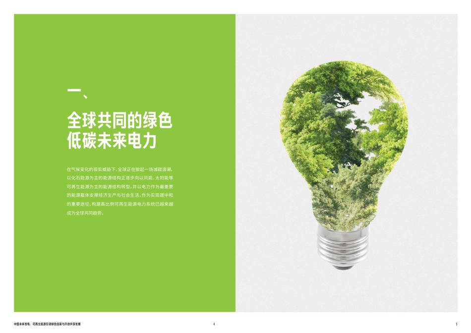 中国未来发电：2023可再生能源引领绿色 创新与开放共享发展报告-世界自然基金会_第3页