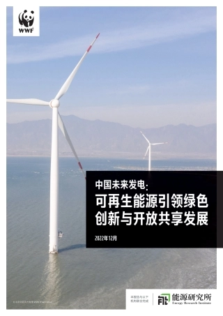 中国未来发电：2023可再生能源引领绿色 创新与开放共享发展报告-世界自然基金会