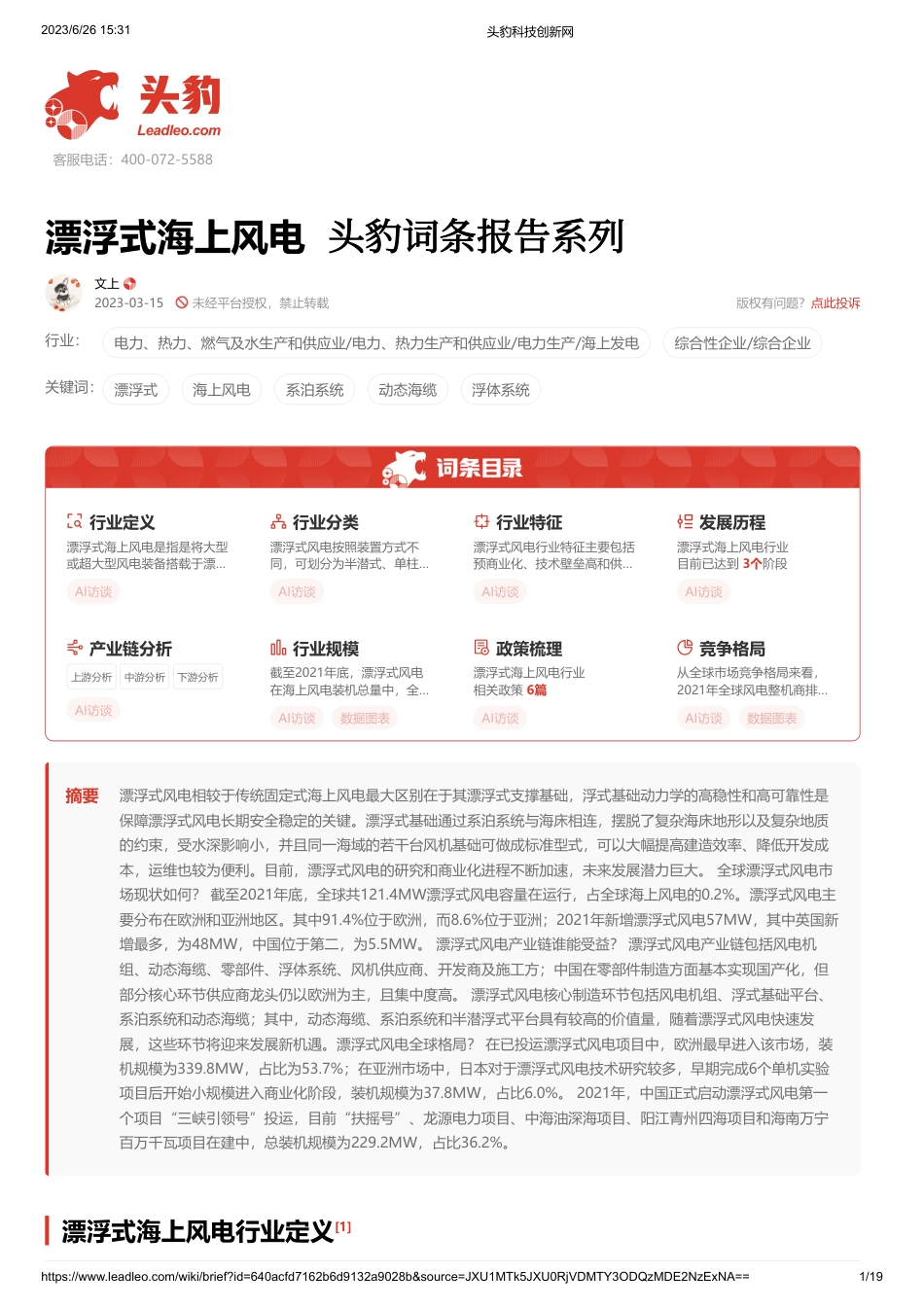 头豹词条报告系列：漂浮式海上风电_第1页