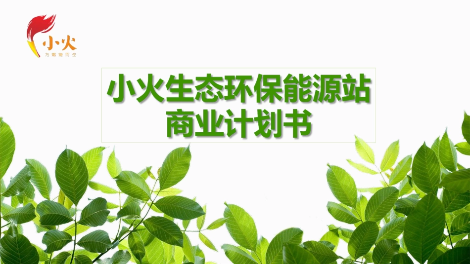 小火生态环保能源站商业计划书_第1页