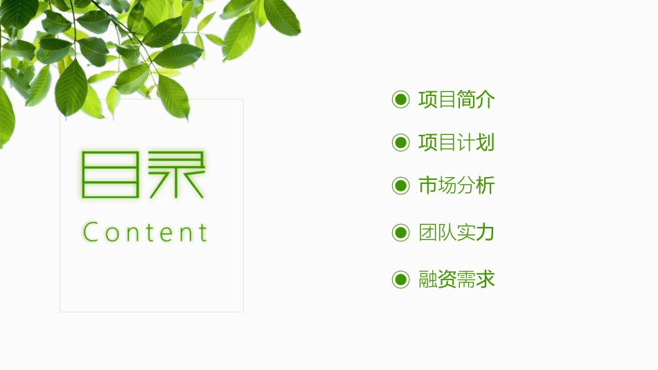 小火生态环保能源站商业计划书_第2页