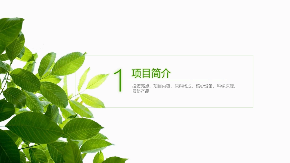 小火生态环保能源站商业计划书_第3页