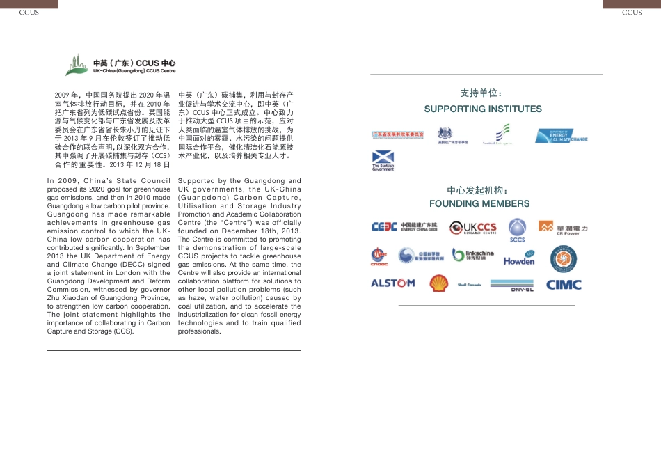 广东省二氧化碳利用技术及潜力--CCUS中心_第2页