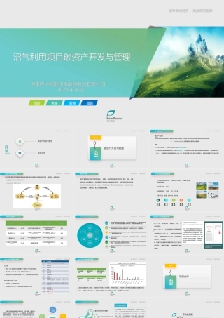 沼气利用项目碳资产开发与管理