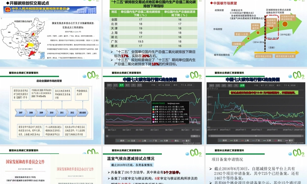林业碳汇项目开发与交易指南