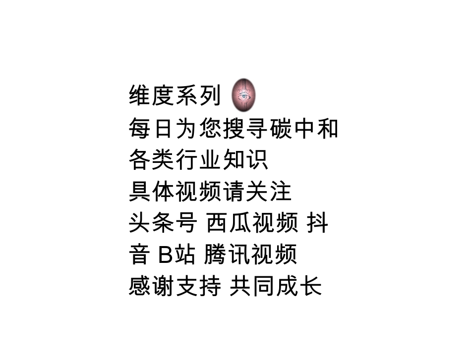 2020年中国碳价调查_第2页