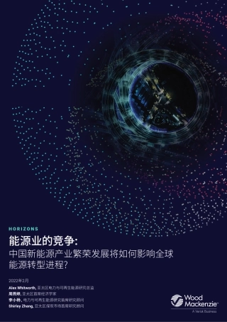 能源业的竞争：中国新能源产业繁荣发展将如何影响全球能源转型进程-Verisk