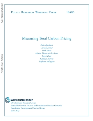 【推荐】世界银行-衡量总碳定价（英）