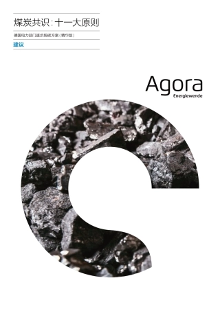 德国电力部门逐步脱碳方案：煤炭共识-十一大原则