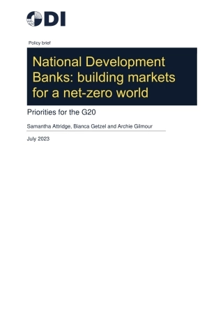 【推荐】海外发展研究所-国家开发银行：为净零世界建立市场(英版)