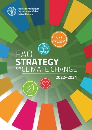 【推荐】联合国粮农组织：2022-2031年气候变化战略（英版）