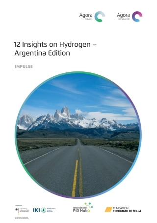 阿根廷氢能洞察(英版)