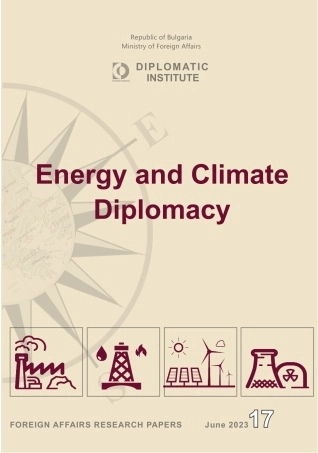 海牙战略研究中心-能源与气候外交(英版)