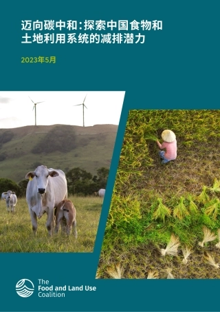 迈向碳中和：探索中国食物和土地利用系统的减排潜力-FOLU