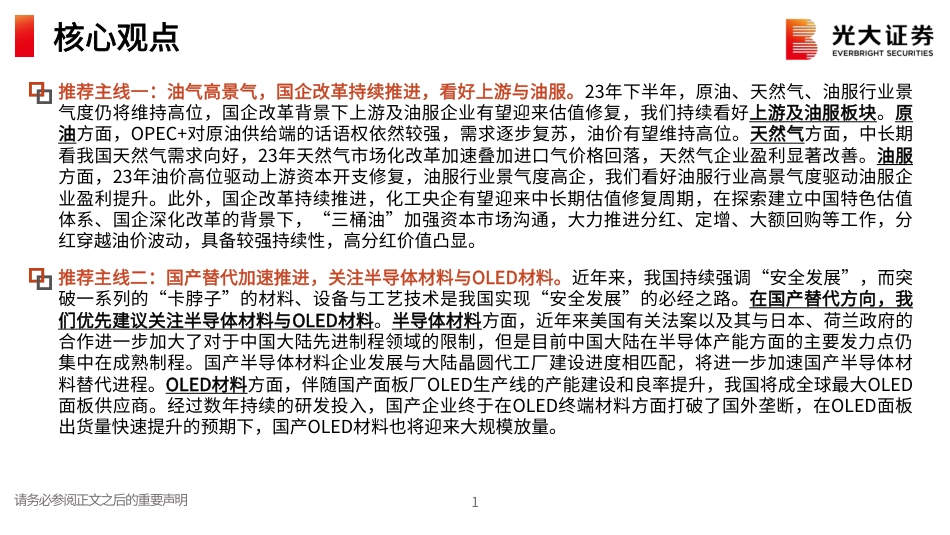 光大证券：坚定把握油气及国产替代两条主线 积极布局复苏背景下顺周期白马（106页） _第2页